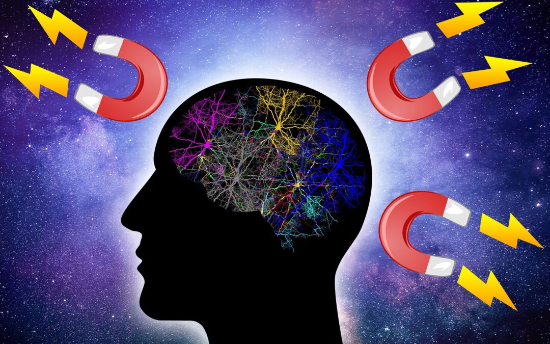 How To Use Law of Attraction And Manifestation To Begin A Successful Career