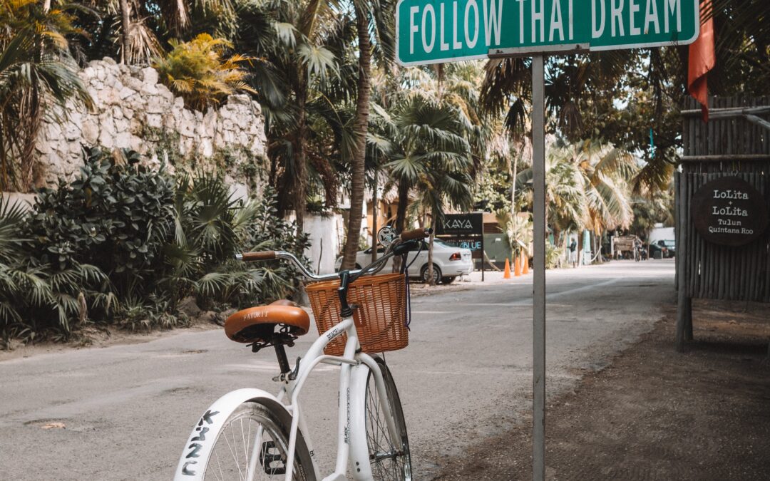 The Manifestation: The 5 Stages of Manifesting Your Dreams