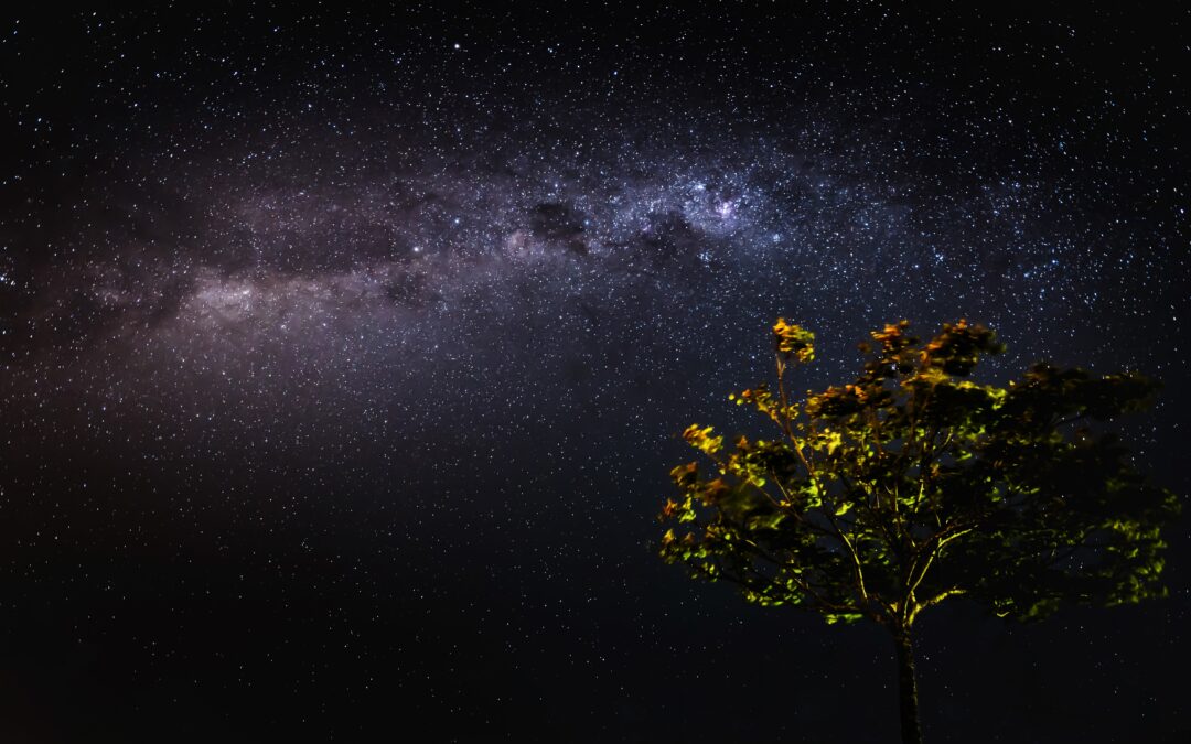 How to Use the Law of Attraction to Attract Real-Life Happenings in Your Life